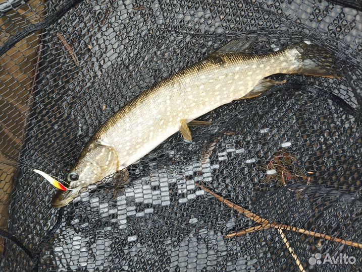 Аренда лодочного мотора, лодки