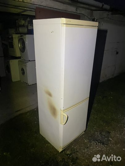 Холодильник Young 180см