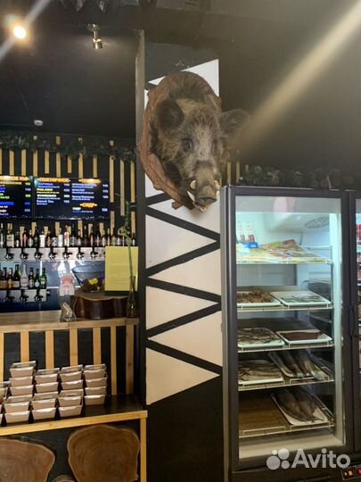 Чучело кабана