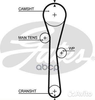 Ремень грм 5577XS Gates