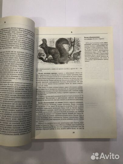 Книга жизнь животных Альфред Брем