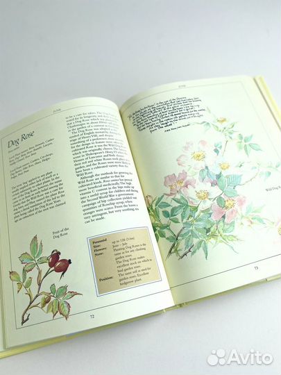 Деревенский дневник с рисунками Эдит Холден