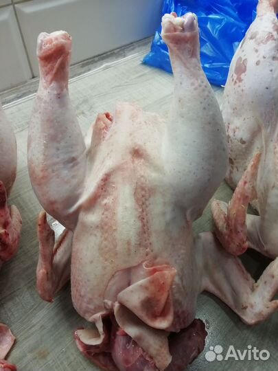Мясо домашнего бройлера