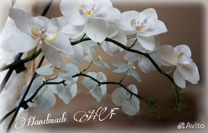 Молд вайнер Орхидеи фаленопсис