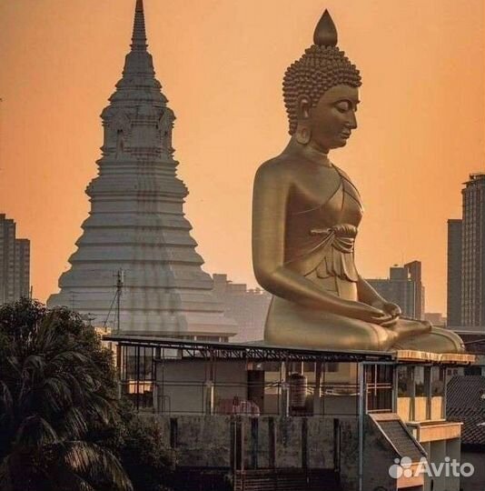 Супер туры январь Египет/Турция/Куба/ ОАЭ