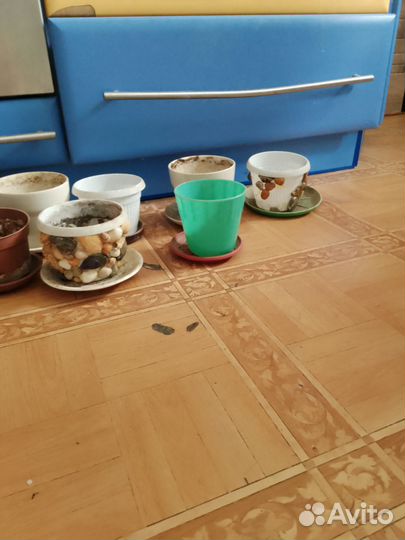 Горшки под растения