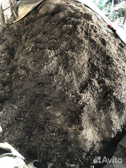 Перегной куриный