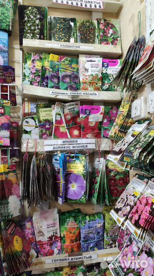 Семена цветы