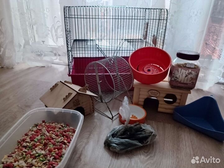 Всë для грызунов