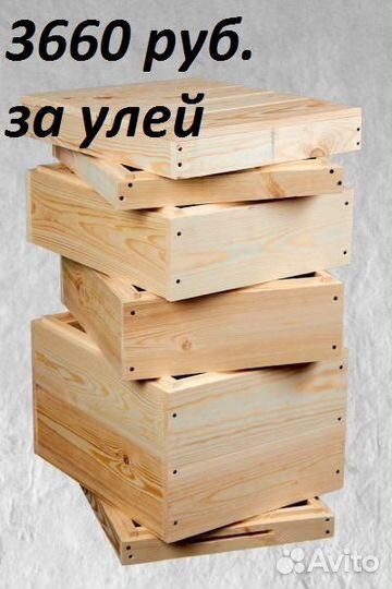 Улья Дадан на 10и12р.(Доставка по области)