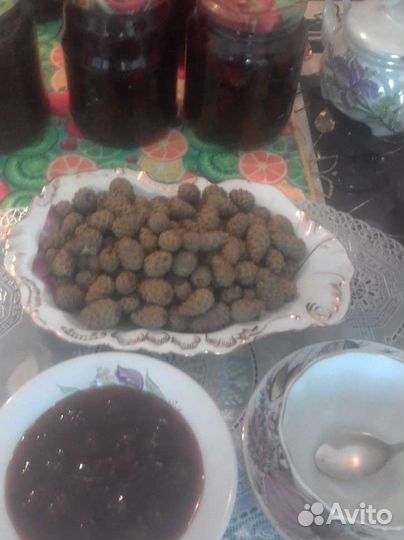 Варенье из сосновых шишек