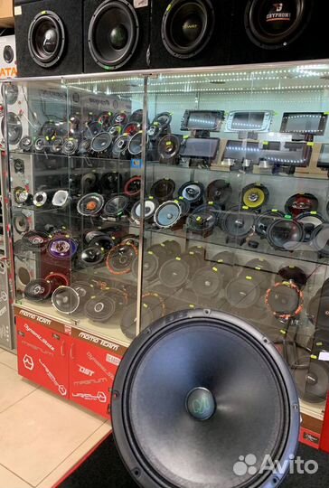 Эстрадная акустика DL Audio Barracuda 130