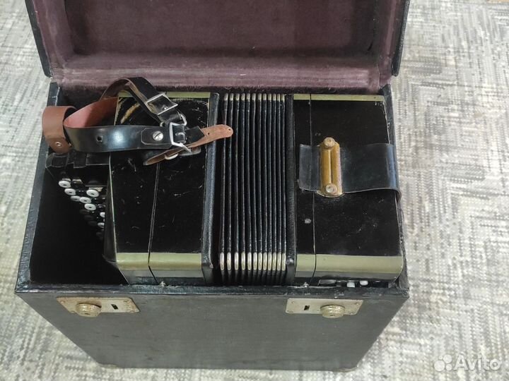 Баян тульский