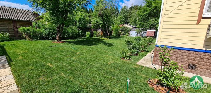 Газон рулонный с укладкой