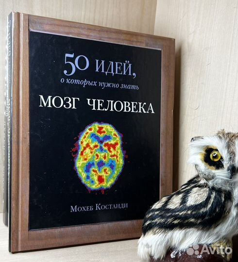 Костанди Мохеб. Мозг человека. 50 идей, о которых
