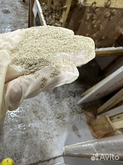 Корм для улиток