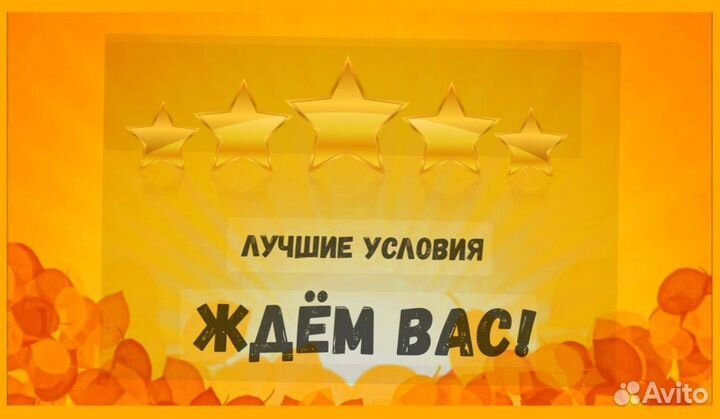 Комплектовщик Спецодежда Еженедельный аванс М/Ж