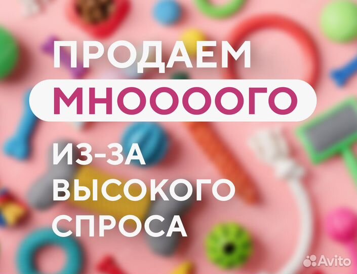 Франшиза зоомагазина