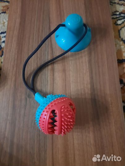 Для собачки