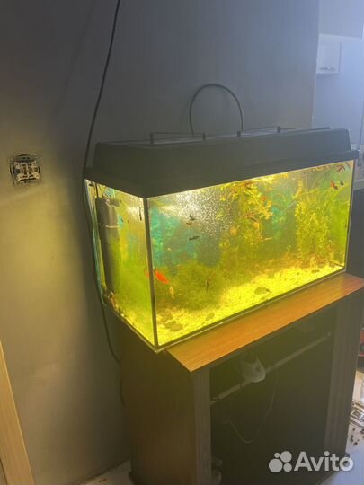 Аквариум с тумбой 160 литров