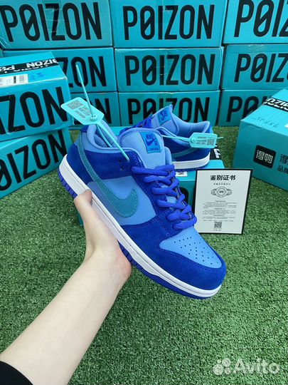 Nike Dunk Low SB Blue Raspberry Оригинал