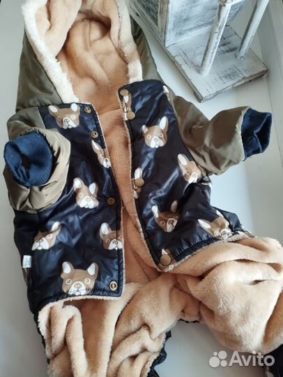 Одежда для собак