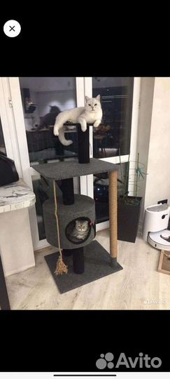 Продаю когтеточку, состояние новой