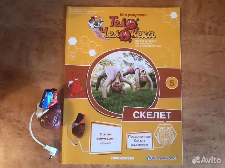 Журналы «Как устроено тело человека»