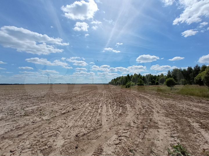 Участок 103,34 га (СНТ, ДНП)