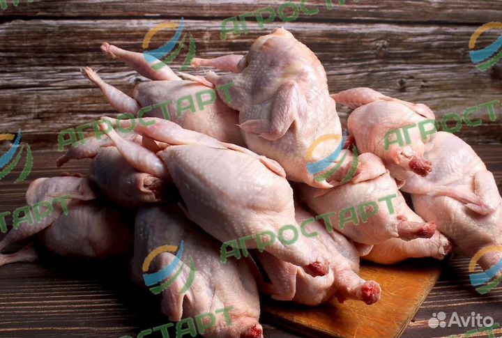 Перосъемная машина NT 600 A