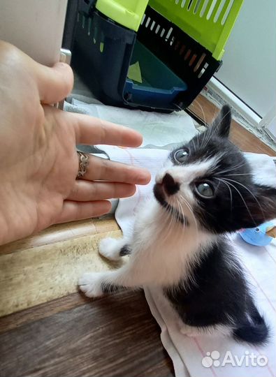 Мальчик 1 месяц