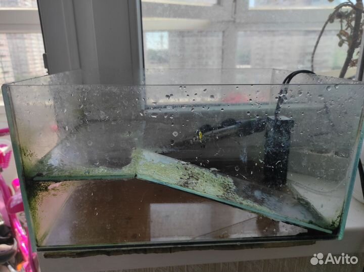 Террариум для красноухой черепахи