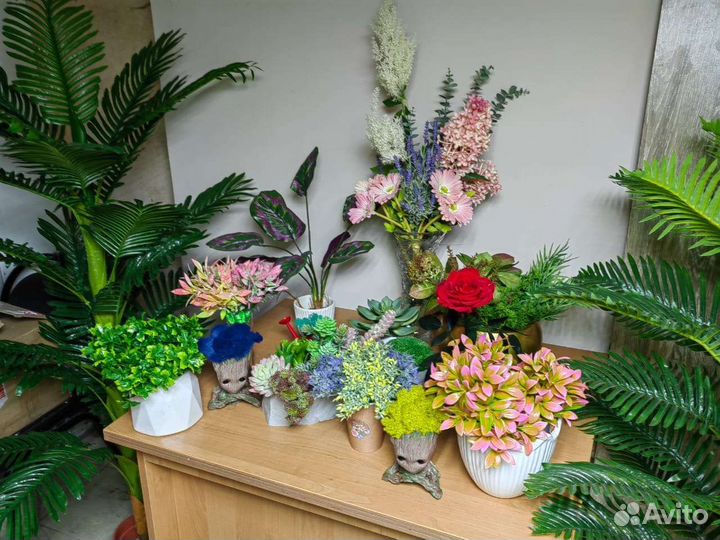 Растения, цветы, трава в кашпо. Декор, от