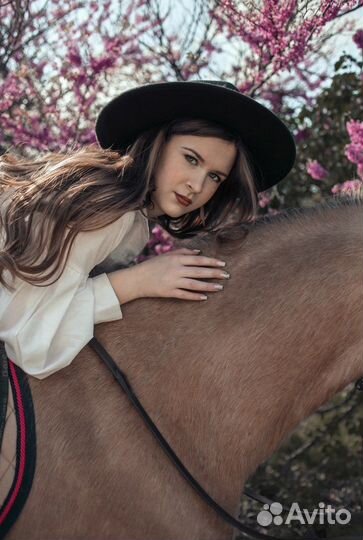 Фотограф с лошадьми и другими животными