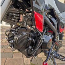 Питбайк OXO Shadow 150