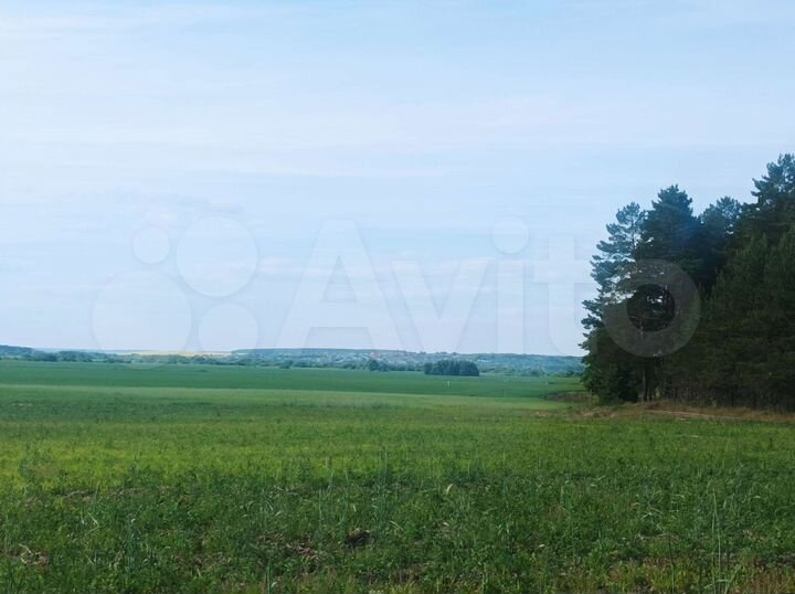 Участок 10 сот. (ИЖС)