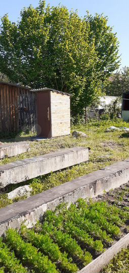 Участок 6 сот. (СНТ, ДНП)