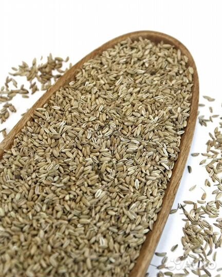 Фенхель - сушеные семена