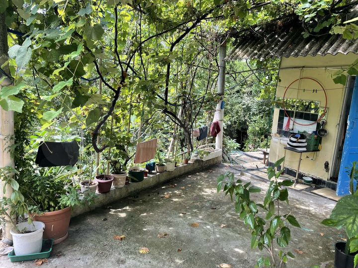 Дом 45 м² на участке 4 сот.