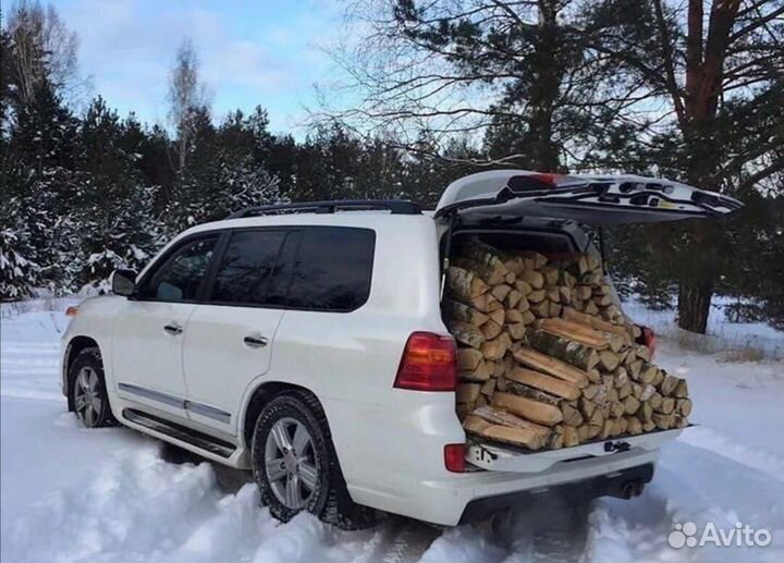 Дрова березовые