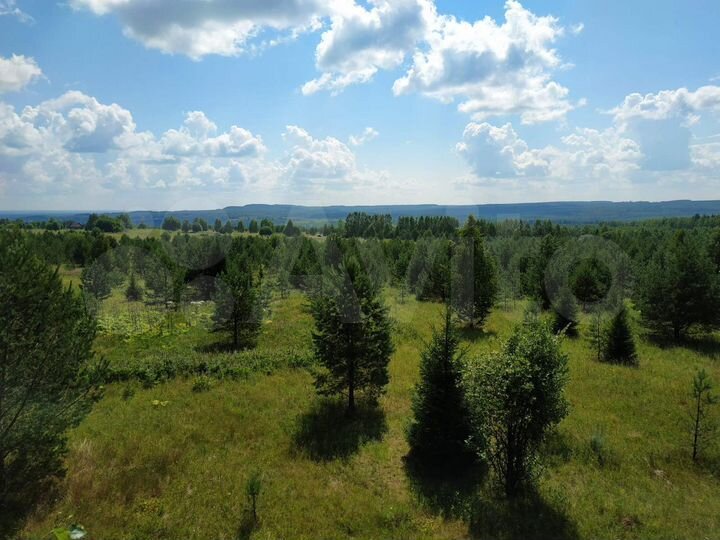 Участок 100 сот. (СНТ, ДНП)