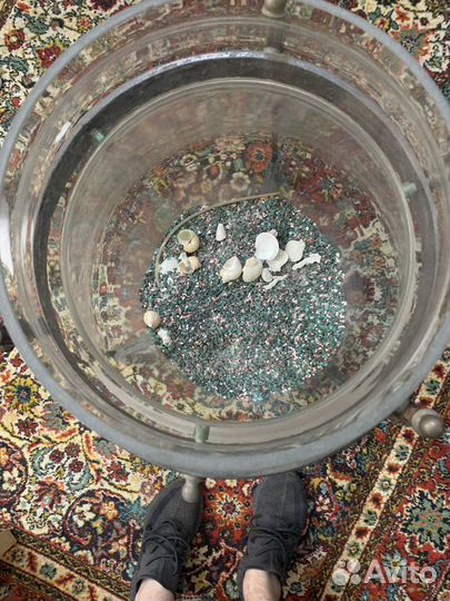 Аквариум бокал