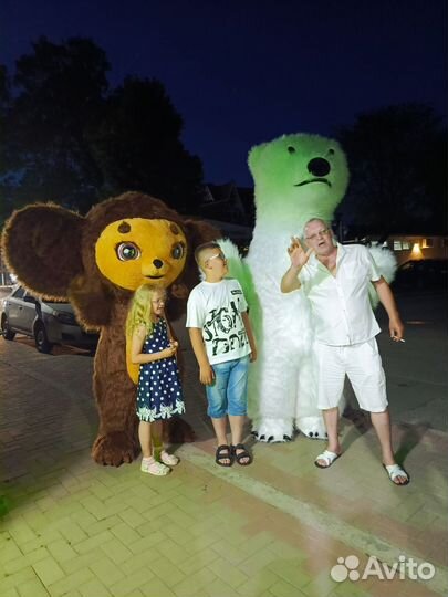 Экспресс поздравления мишки и Чебурашки