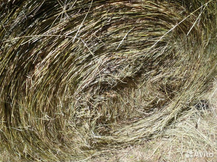 Сено в рулонах