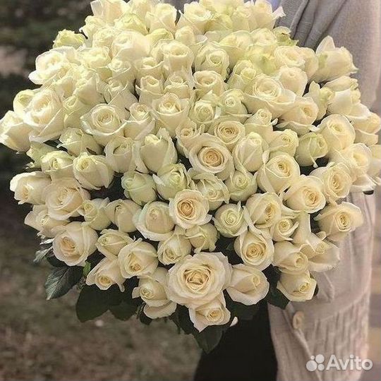 Розы Цветы Букеты 25 151 201 101 301 501 опт
