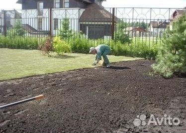 Укладка газона