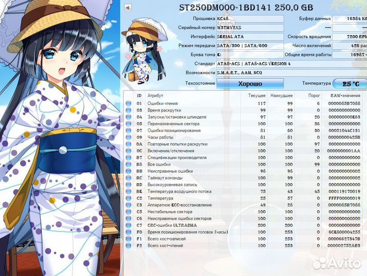 Жесткий диск 250Gb Seagate st250dm000