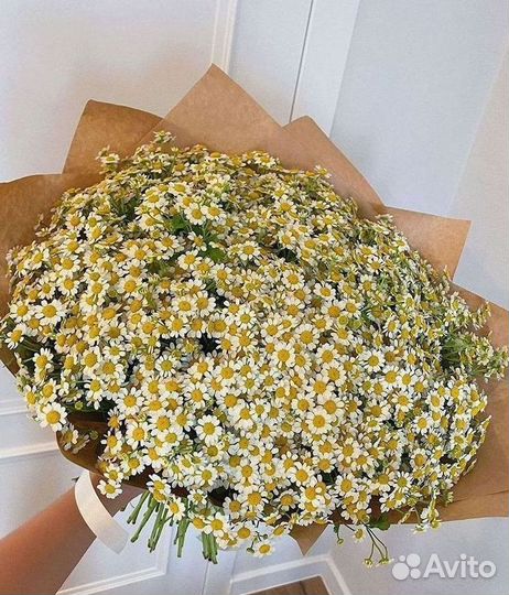 Доставка цветов. Ромашки