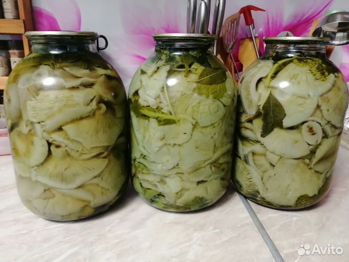 Соленые грузди