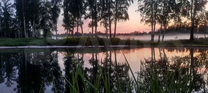 Участок 10 сот. (ИЖС)